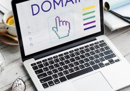 Flipping Domains - How to Become a Successful Domainer?