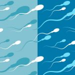 donating sperm final 1024x683 | How Much Do You Get Paid to Donate Sperm? We've Got All the Answers