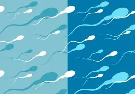 donating sperm final 1024x683 | How Much Do You Get Paid to Donate Sperm? We've Got All the Answers